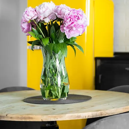 Your Holidays Aquamarina Onyx 84 米兹多洛杰